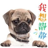 ䷶Ц,Ц,ڶгЦ