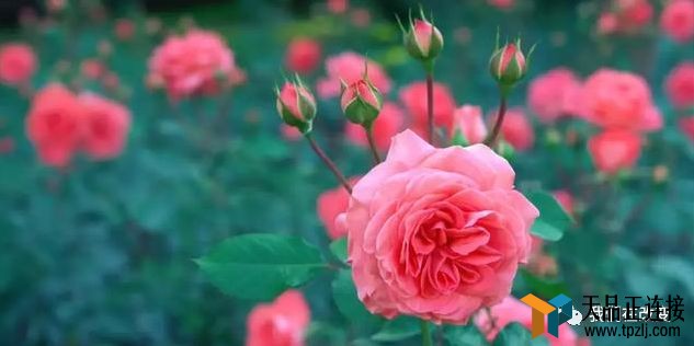 ںܷӺףǮǣúӮ
