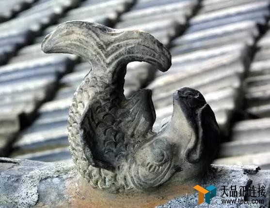 ޽ݶϵСޣǵĴ