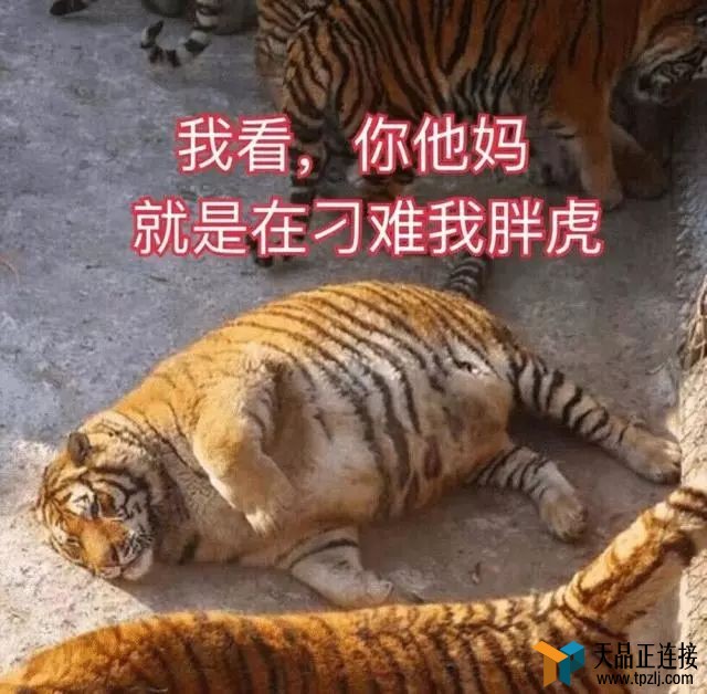 ǸЦ͹һ