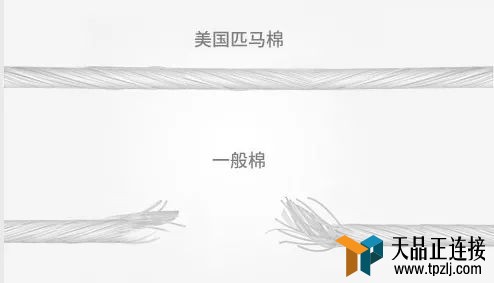 ʦΪͻѡԴƽ