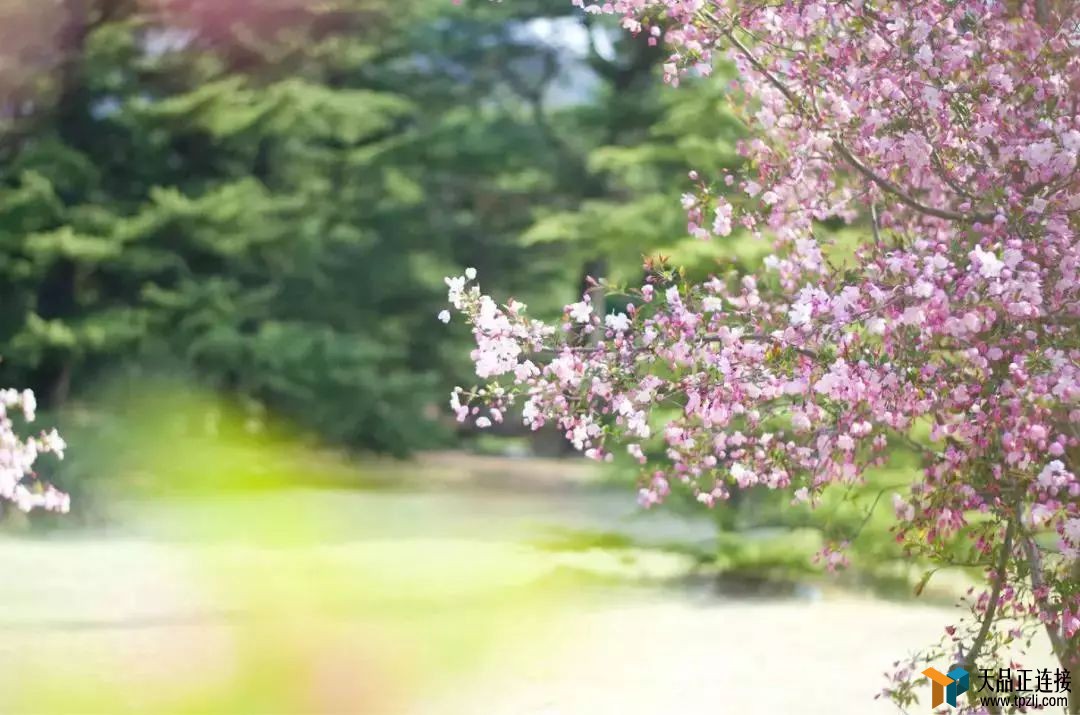 ȥӴ쾮ô顢