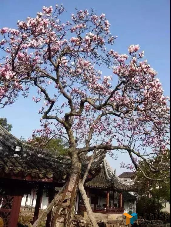 ȥӴ쾮ô顢