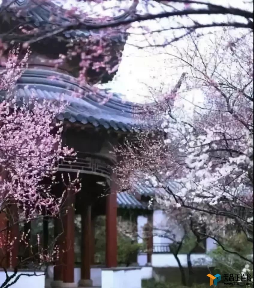 ȥӴ쾮ô顢