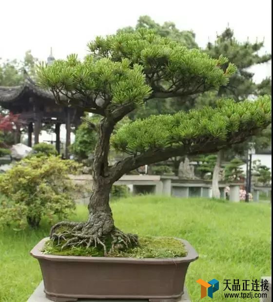 ȥӴ쾮ô顢