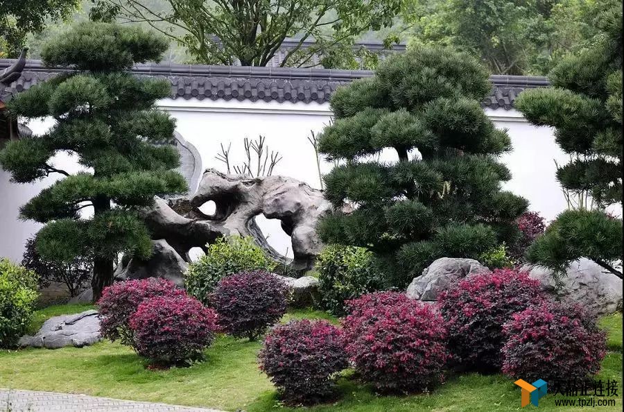 ȥӴ쾮ô顢