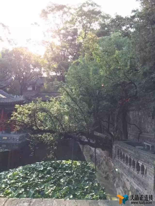 ȥӴ쾮ô顢