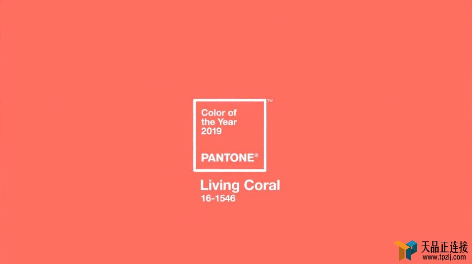 2019ʢɫŵҲַ