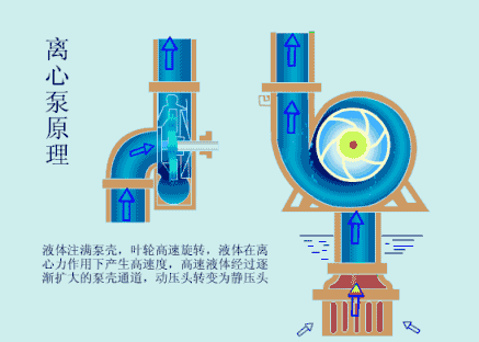ˮ硢硢硢硢յ硢Ǳȶͼɢ