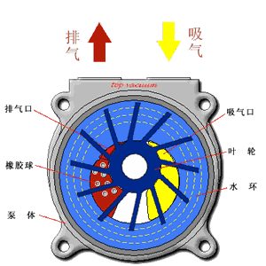 ˮ硢硢硢硢յ硢Ǳȶͼɢ