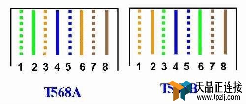 ߻ͷT568Bӷͼ⣬1236ûҪӴ