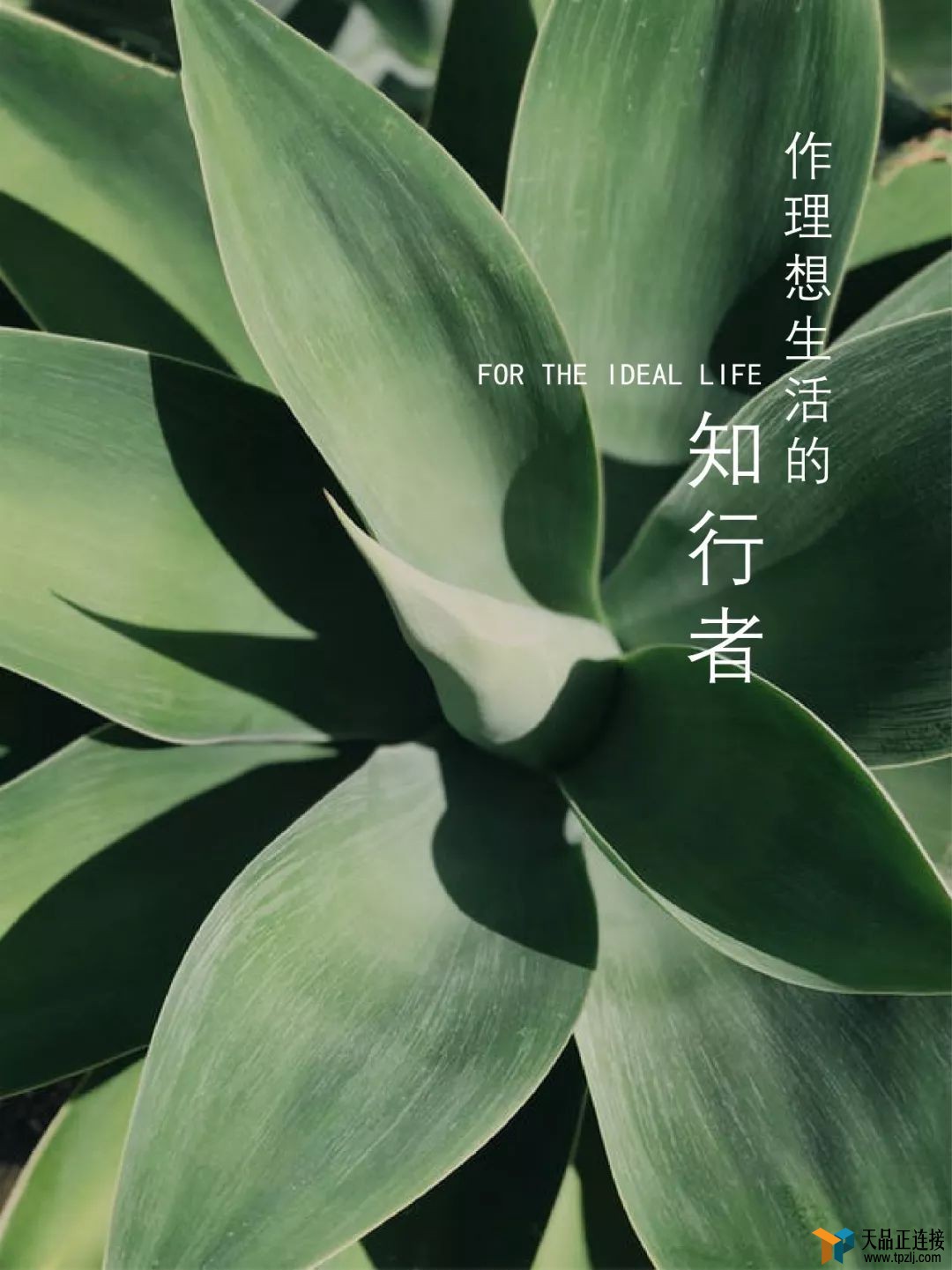 300O³ұǸ룬üˣ