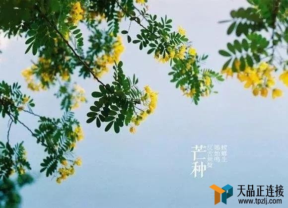 ǰܽʮĹ