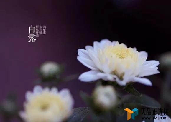 ǰܽʮĹ