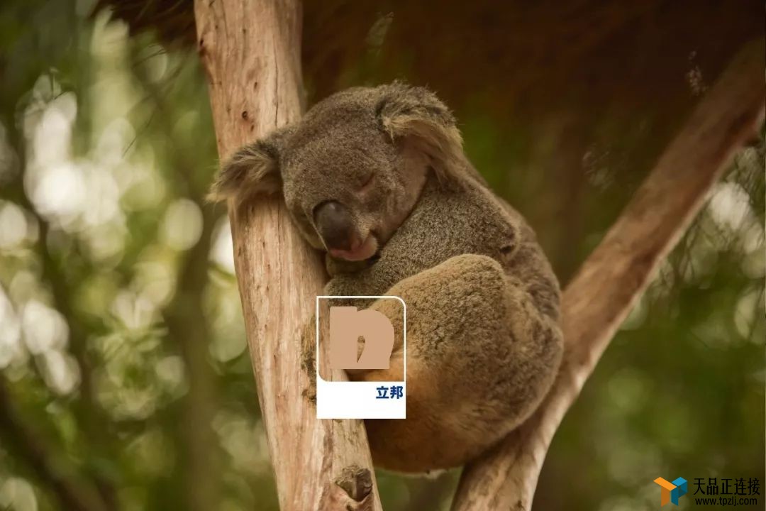 ɫäоˣһɫϵ̫ȫܣ