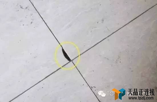 שչ֧߶ չשؿ