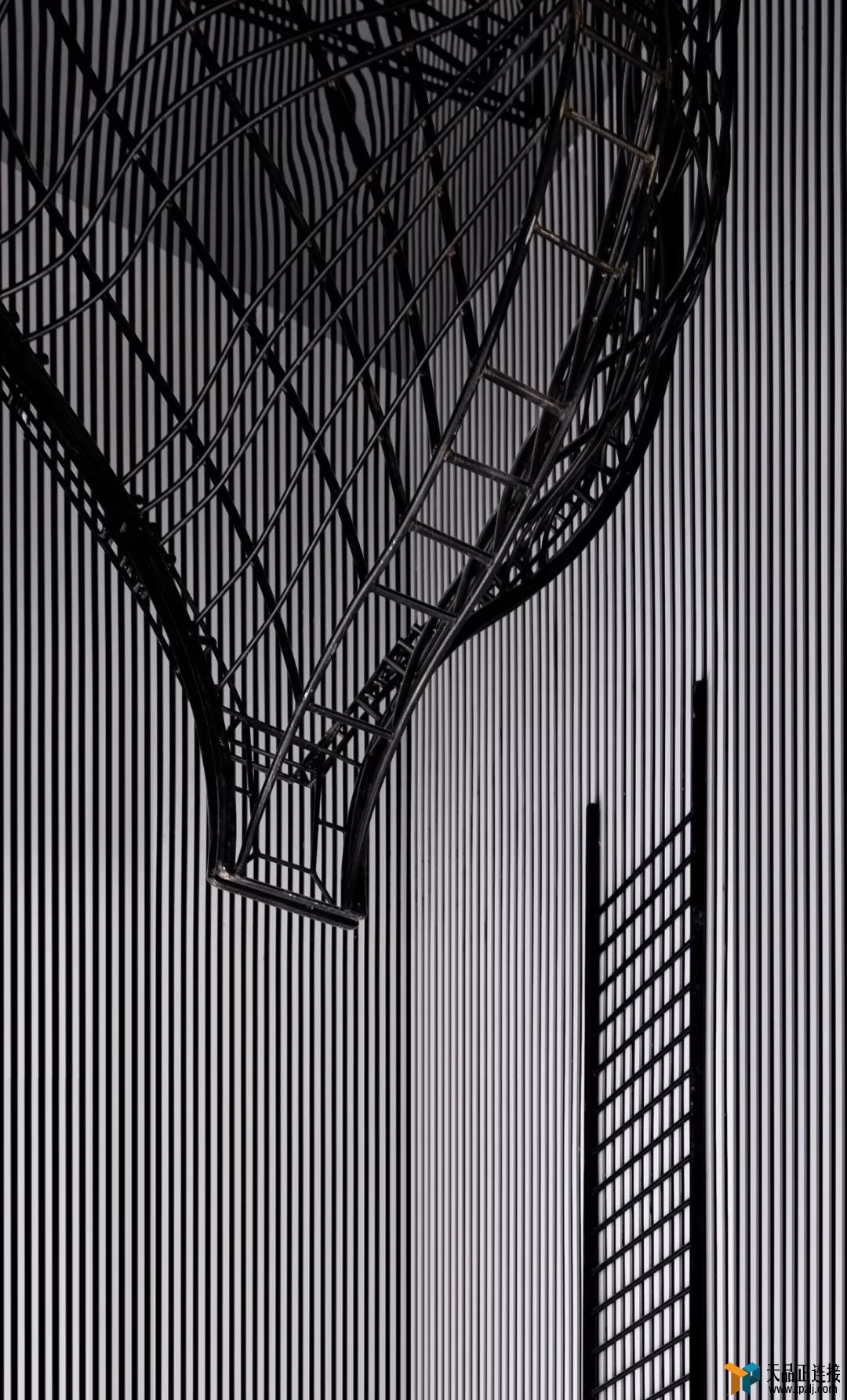 ֹβֲõ꣬дϲ
