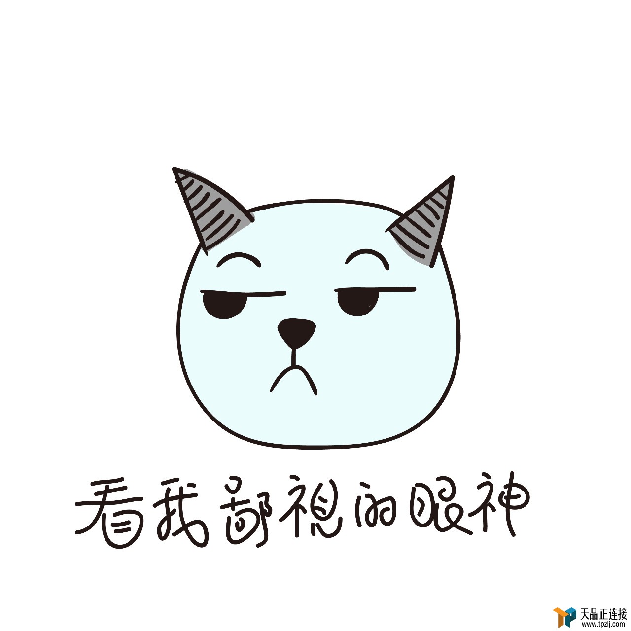 һʦʦŮ