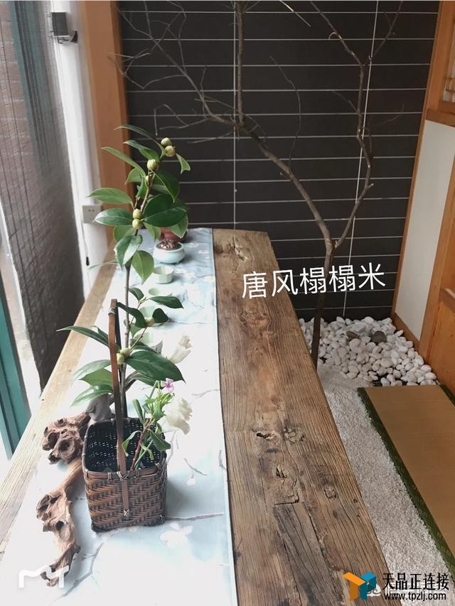 ҪʦЩ飿
