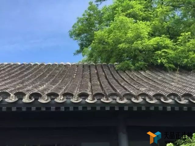 һԺӣѺڹʫ