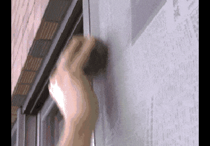 ̹ҹó뾭ɻŪéѣ