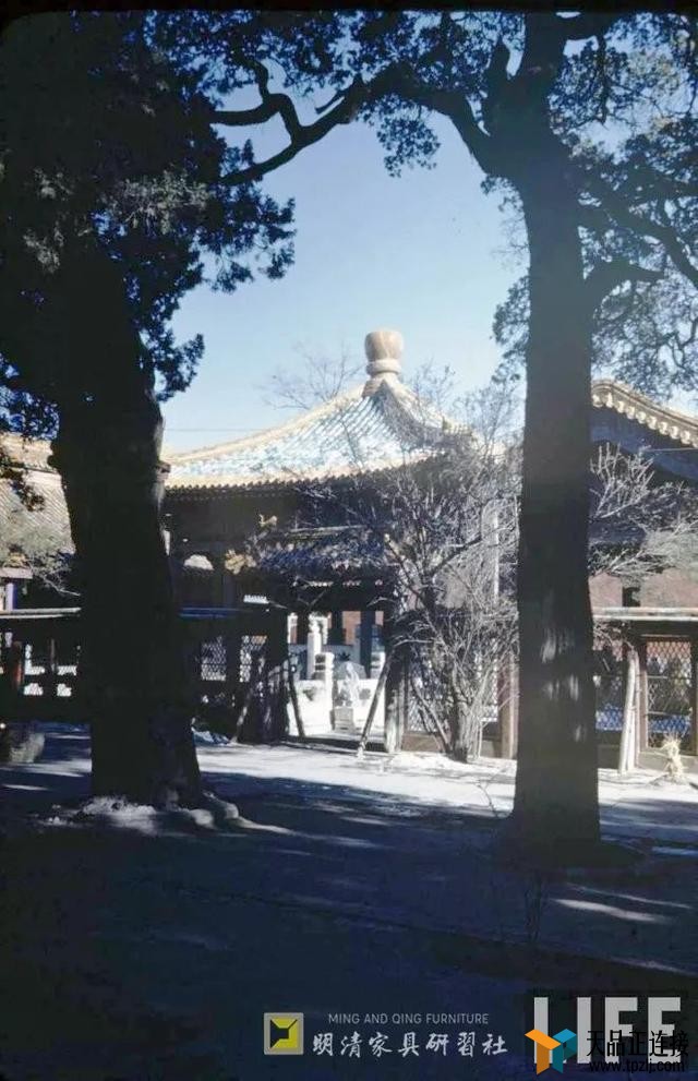 1946