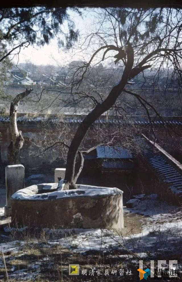 1946