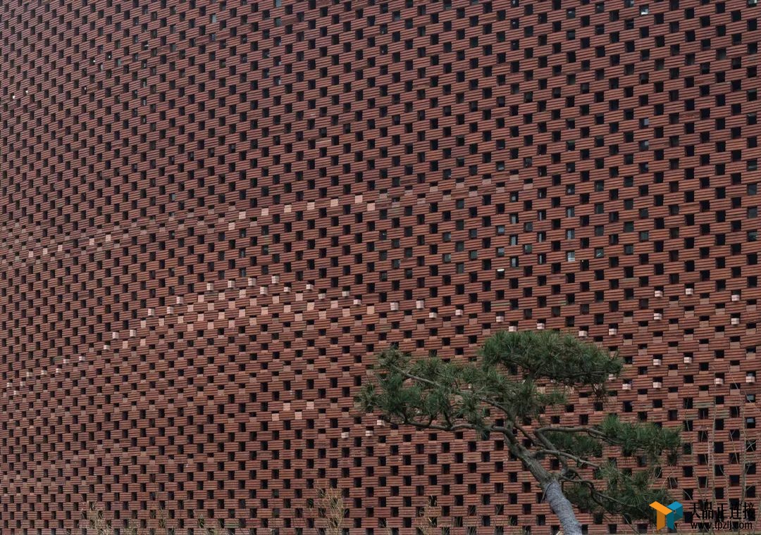 Ʋͬ죬 MVRDVϿɱ̫˳