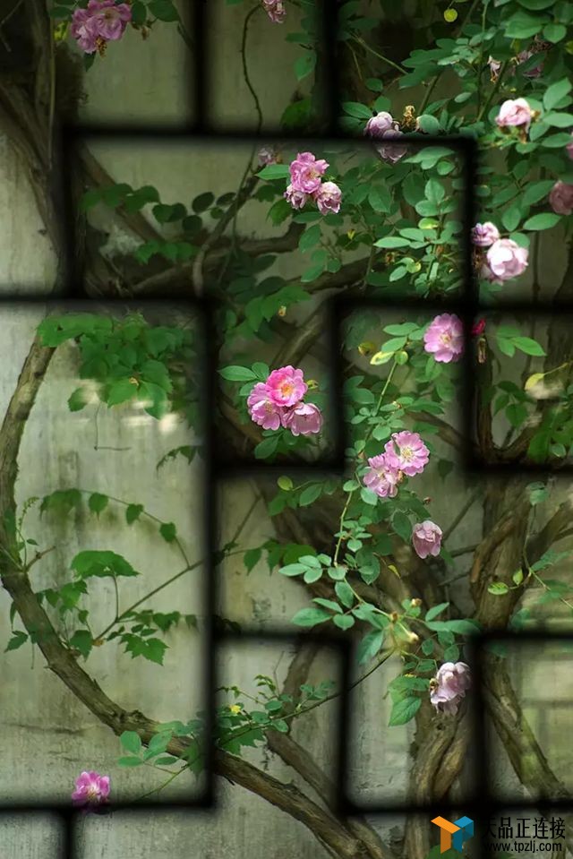 ҪһԺӣŻ......