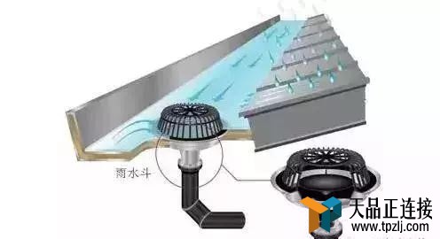 ǳʶŻ|Ż