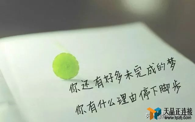 2019ʦΰѿαأ