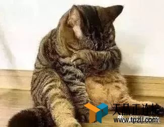 Ϊ˿һƣȴһƿꣿ
