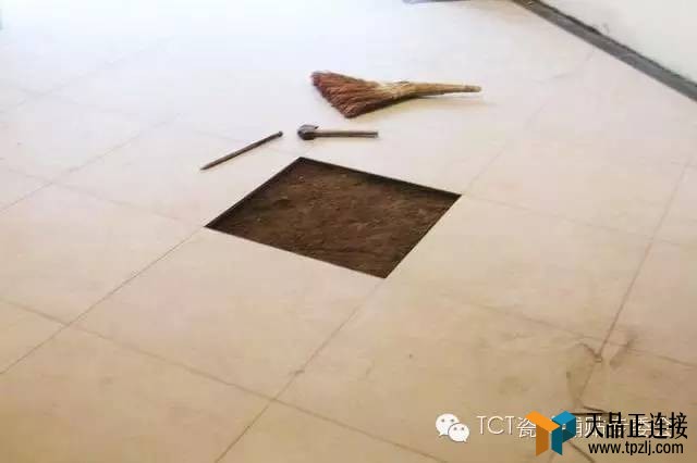 שչ֧߶