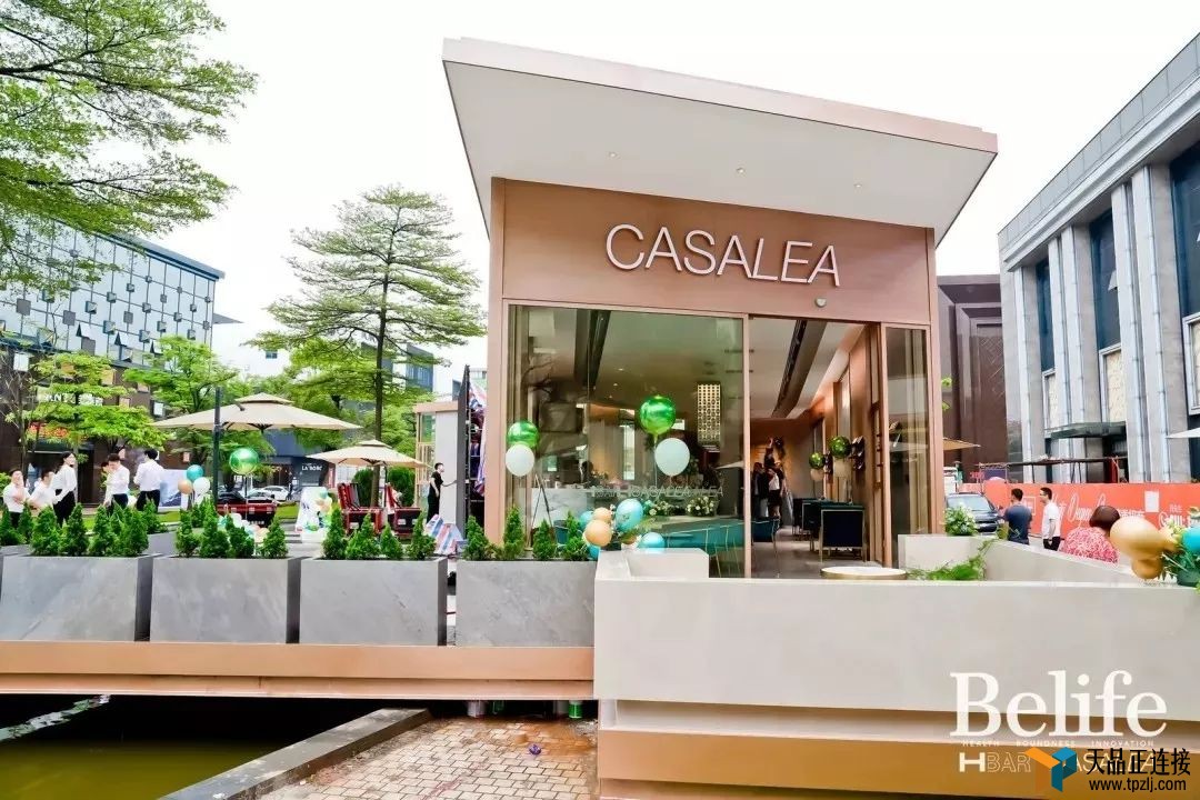 ֹͣCASALEA & H BARʽ